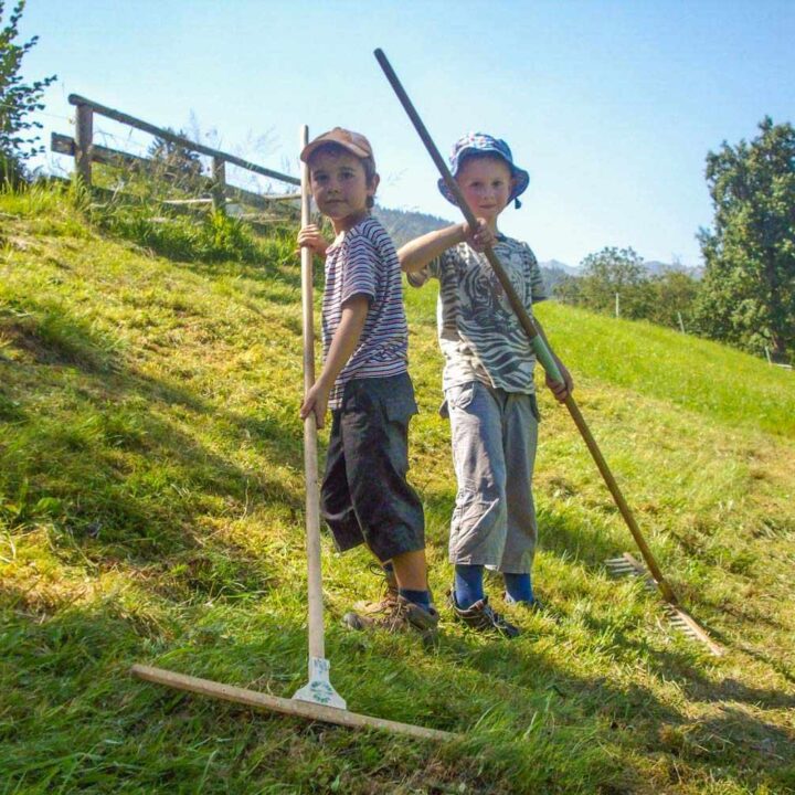 Schoenauerhof_Activities_Gallery_02